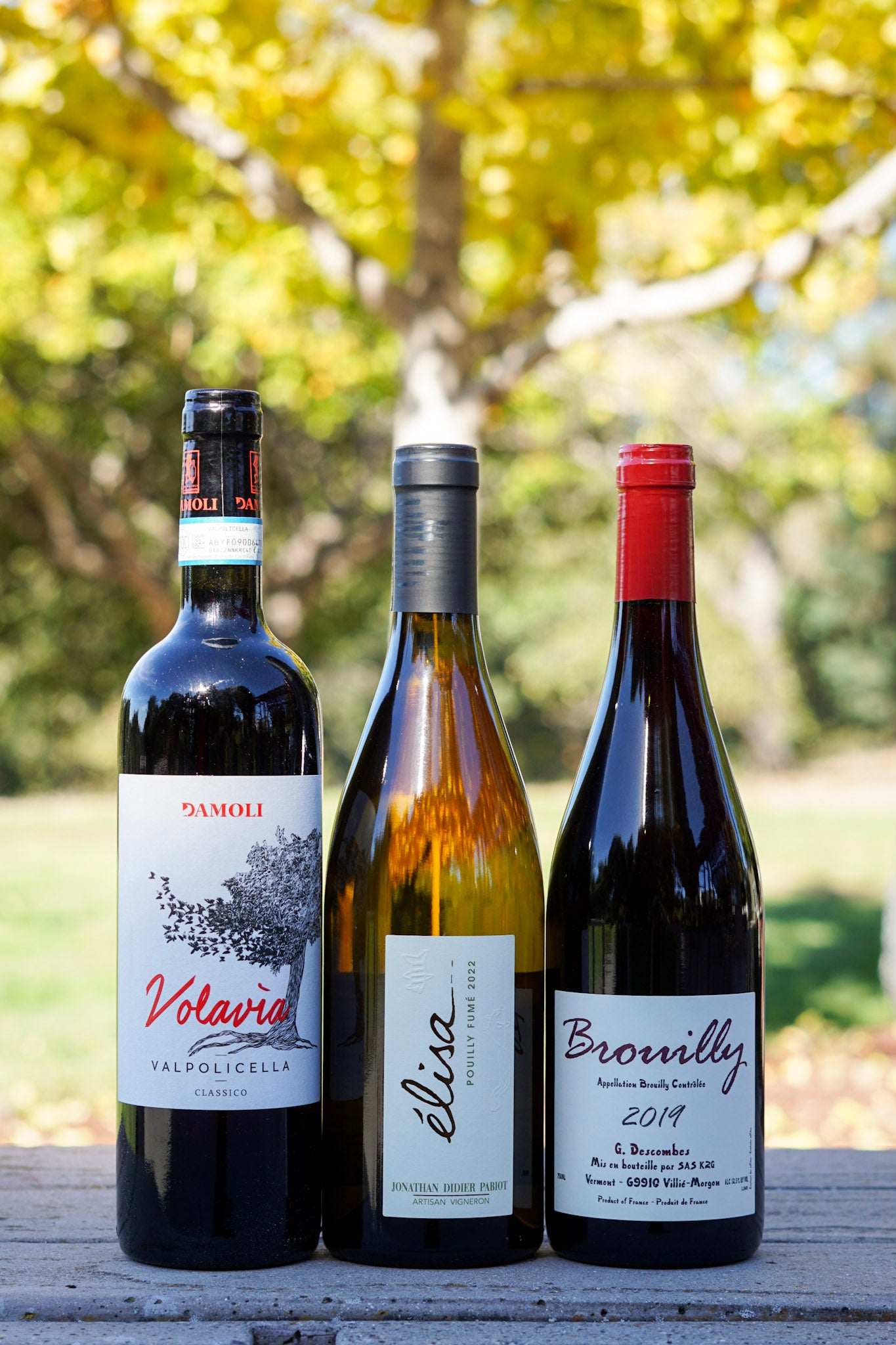 November 2023 Enthusiast Wine Club Deer Park Wine & Spirits