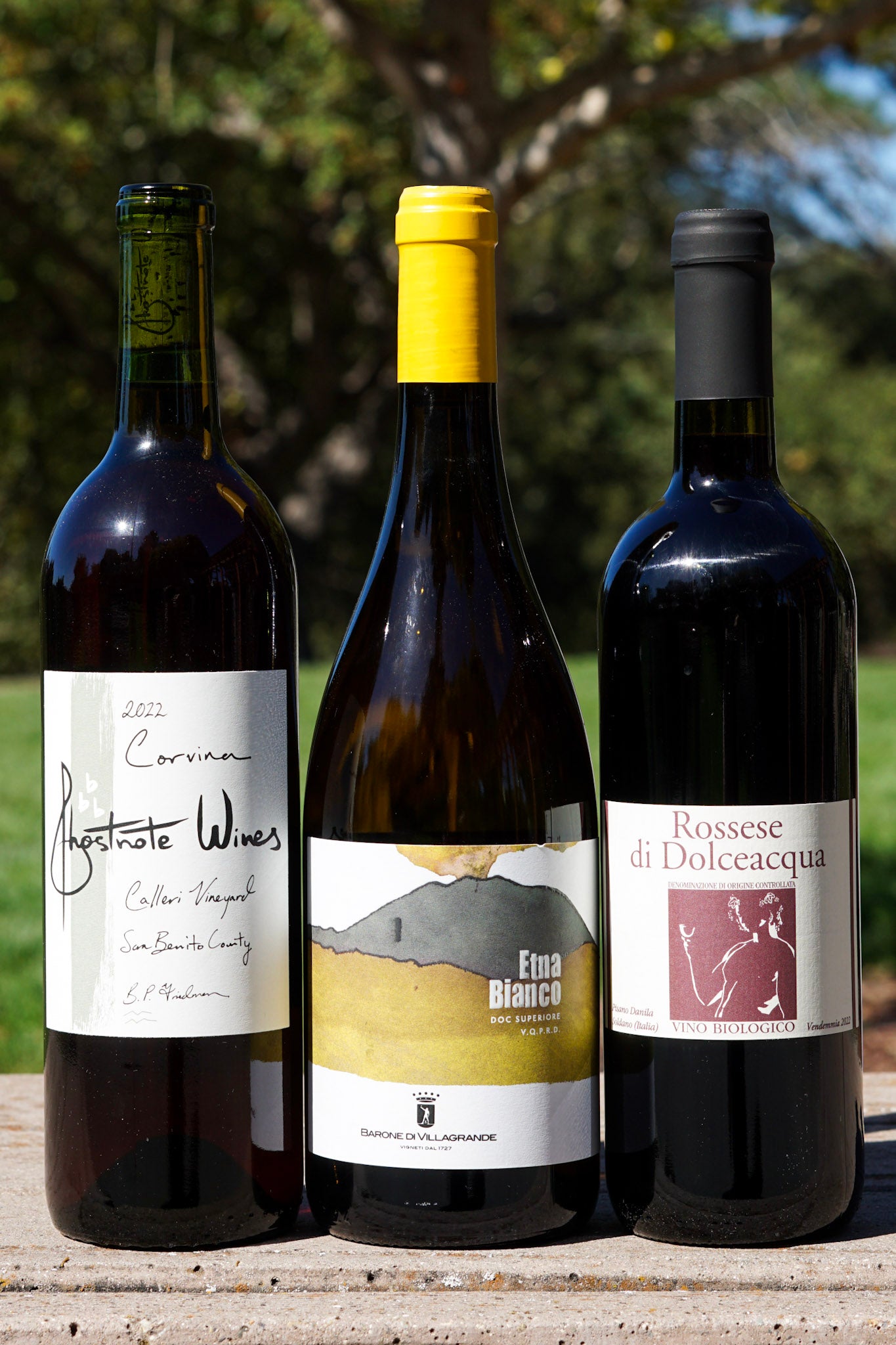 September 2024 Enthusiast Wine Club Deer Park Wine & Spirits