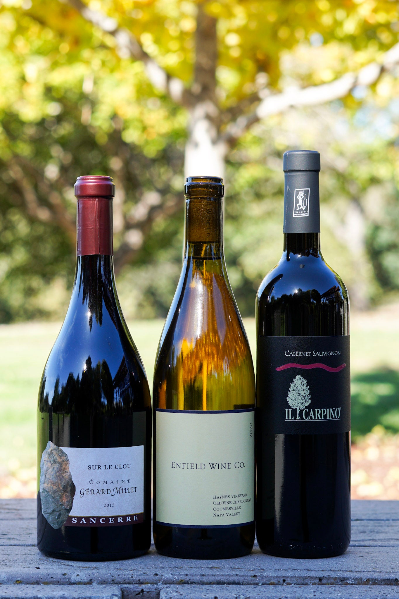 November 2023 Terroir Wine Club Deer Park Wine & Spirits