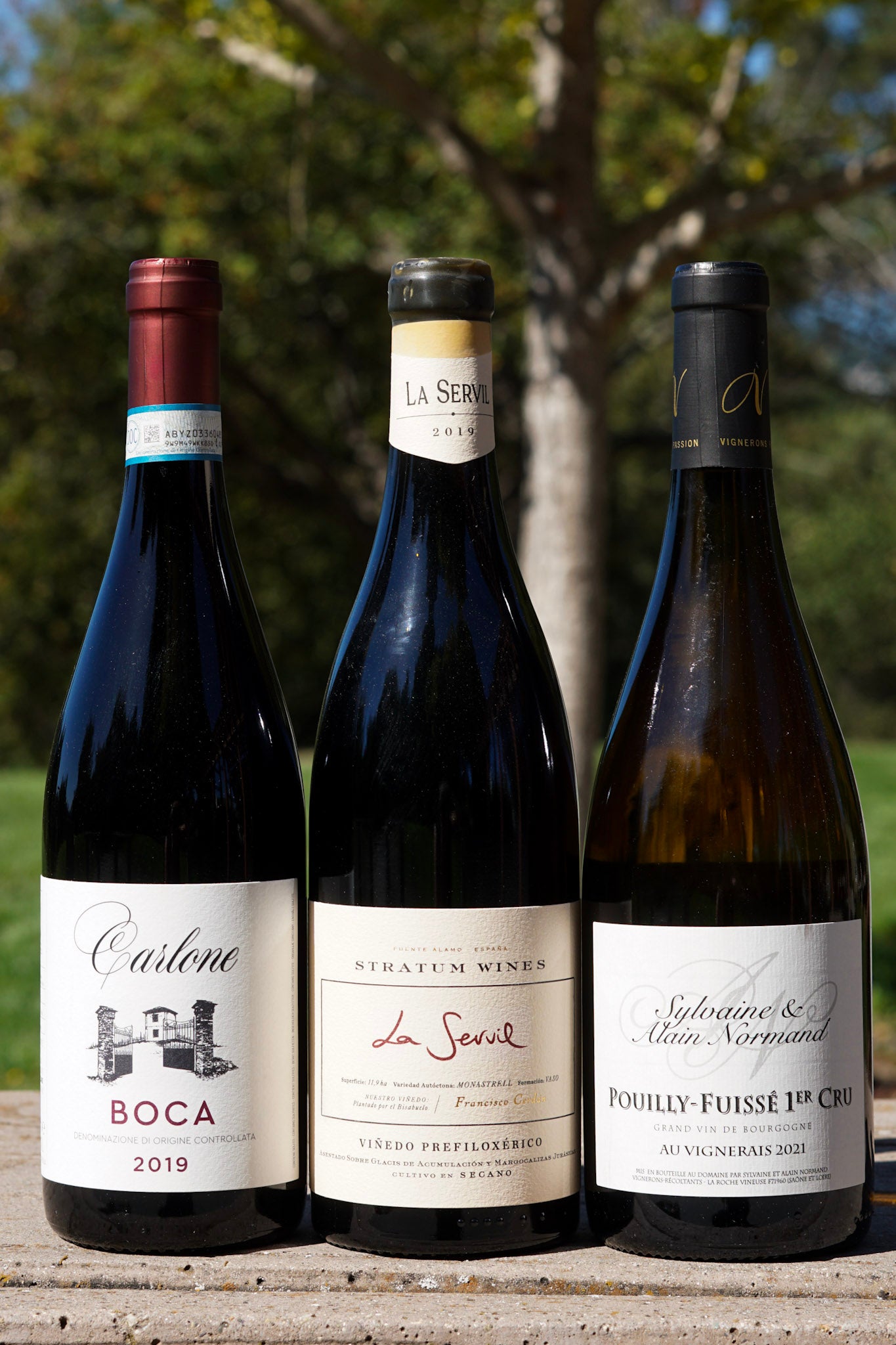 September 2024 Terroir Wine Club Deer Park Wine & Spirits