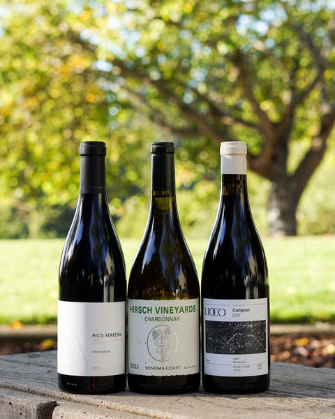 November 2025 | Terroir Wine Club