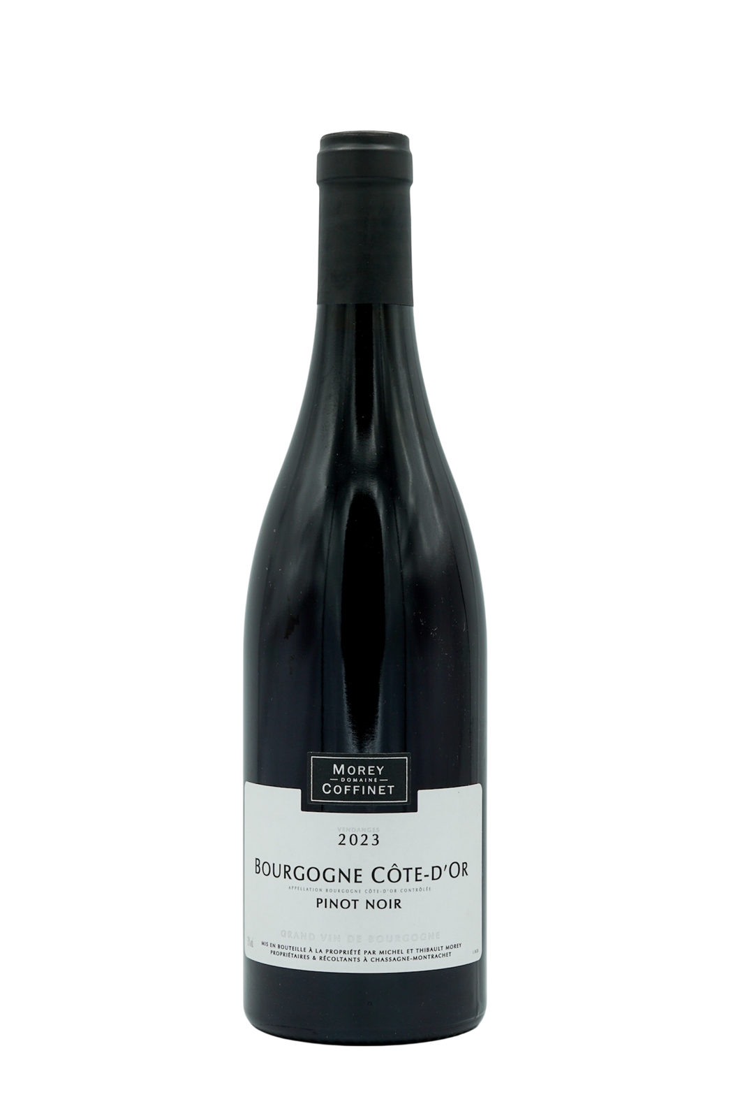Morey Coffinet 2023 Bourgogne Rouge